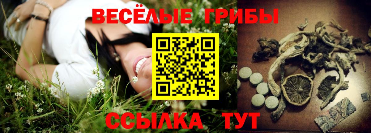 Галлюциногенные грибы мухоморы Новосибирск
