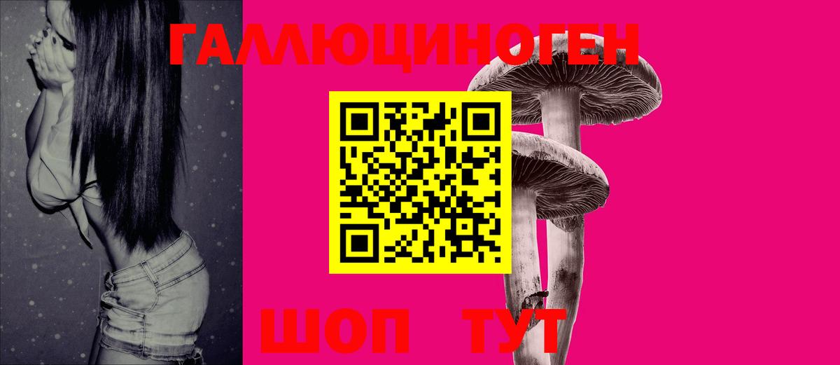 Псилоцибиновые грибы GOLDEN TEACHER  Вход с VPN  Галлюциногенные грибы прущие грибы  Новосибирск 